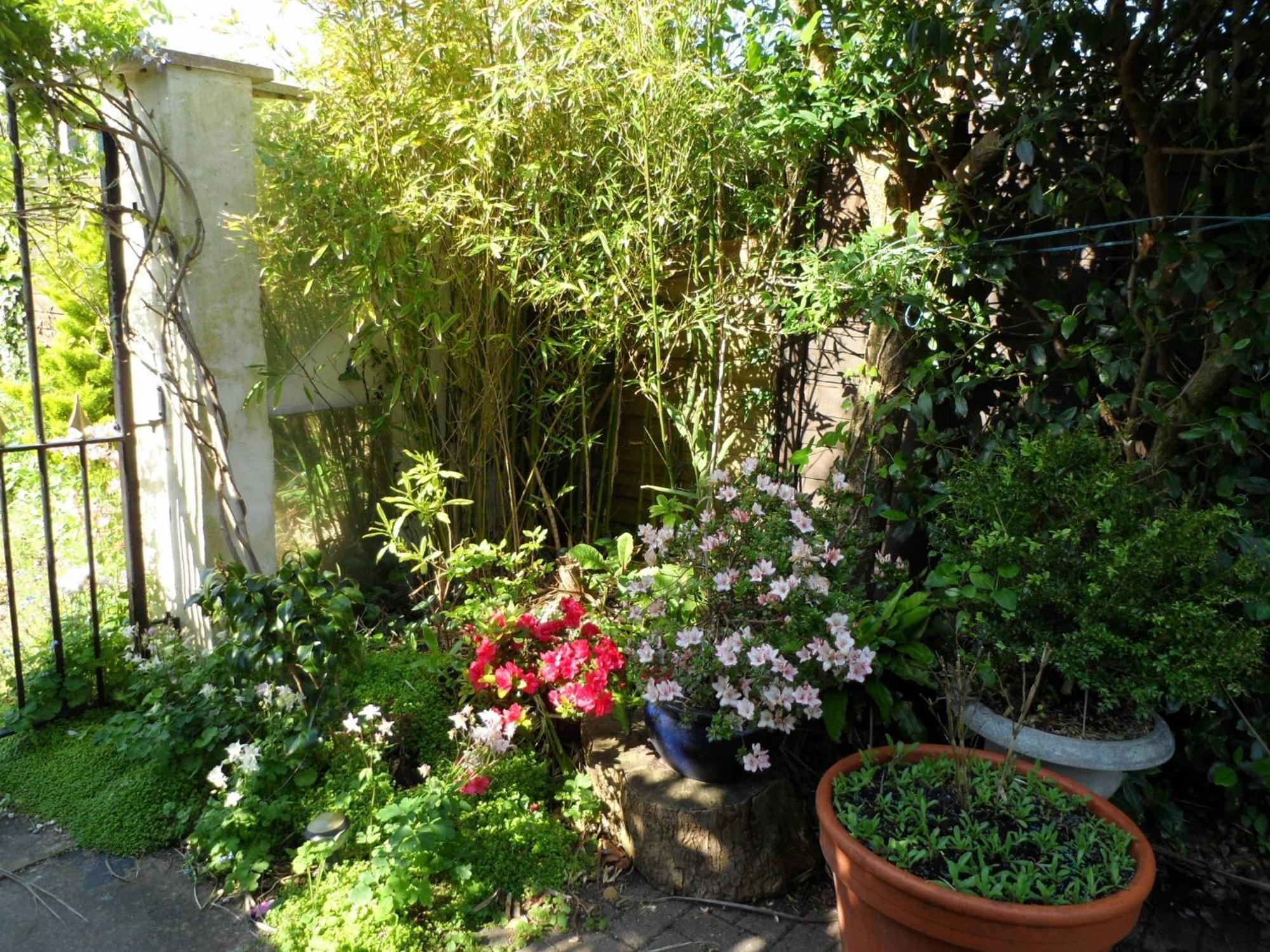 Galway Guest House Weymouth Dış mekan fotoğraf