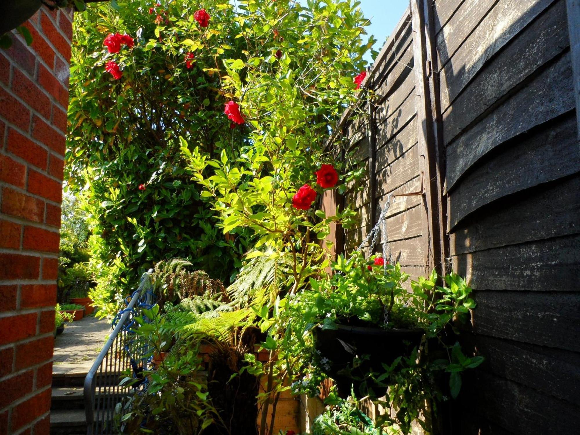 Galway Guest House Weymouth Dış mekan fotoğraf